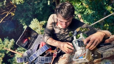 Bioacoustics Monitoring: How AI Listens to Forests to Track Biodiversity Health