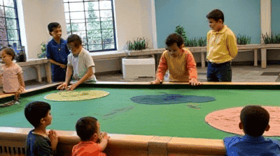 From Textbooks to Action: How Schools Are Implementing Real-World Sustainability Projects