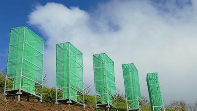 How Ancient 'Fog Harvesting' Techniques Are Reviving Arid Landscapes