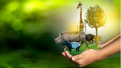 How Wildlife Sanctuaries Can Avoid Exploitation and Promote Ethical Tourism