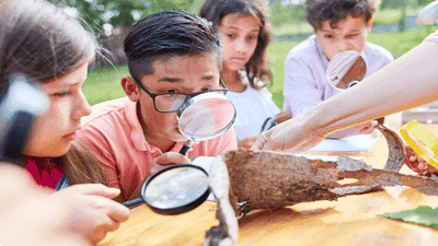 How to Teach Kids About Sustainability Through Hands-On Nature Activities