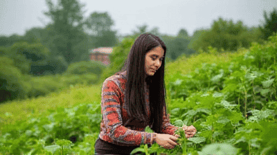 Indigenous Farming Techniques That Outperform Modern Industrial Methods