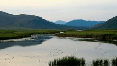 Rights of Nature: How Giving Rivers Legal Personality Could Save Ecosystems