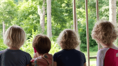 Voluntourism Done Right: How to Choose Ethical Environmental Projects